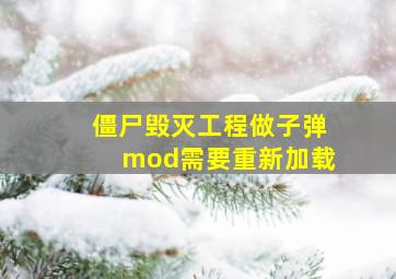 僵尸毁灭工程做子弹mod需要重新加载