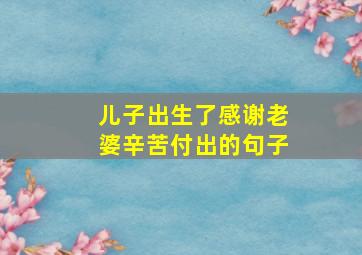 儿子出生了感谢老婆辛苦付出的句子