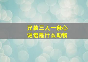 兄弟三人一条心谜语是什么动物