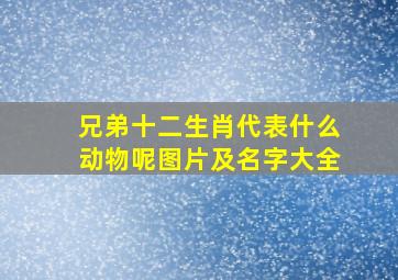 兄弟十二生肖代表什么动物呢图片及名字大全