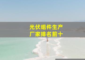 光伏组件生产厂家排名前十