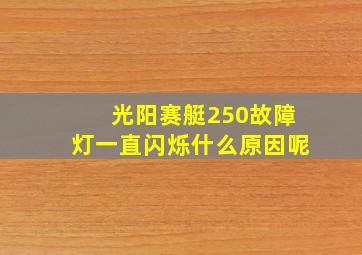 光阳赛艇250故障灯一直闪烁什么原因呢