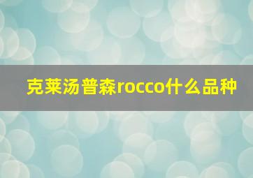 克莱汤普森rocco什么品种