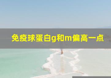 免疫球蛋白g和m偏高一点