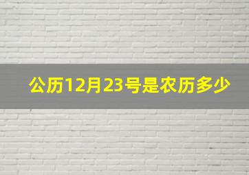 公历12月23号是农历多少