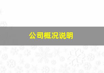 公司概况说明