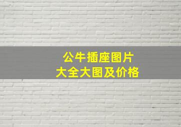 公牛插座图片大全大图及价格