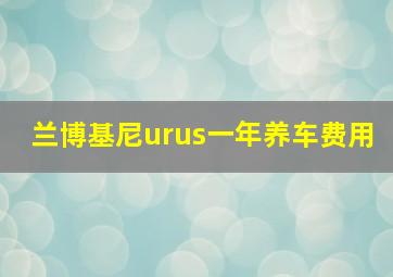 兰博基尼urus一年养车费用