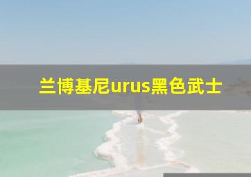 兰博基尼urus黑色武士