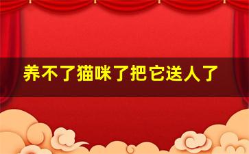 养不了猫咪了把它送人了