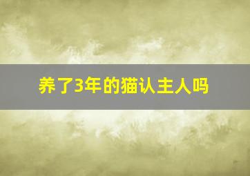 养了3年的猫认主人吗