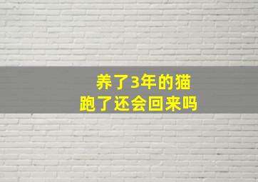 养了3年的猫跑了还会回来吗