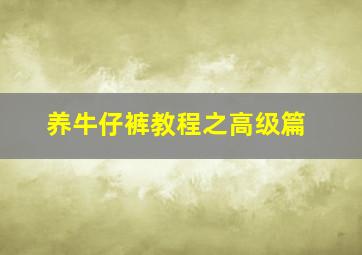 养牛仔裤教程之高级篇