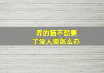 养的猫不想要了没人要怎么办