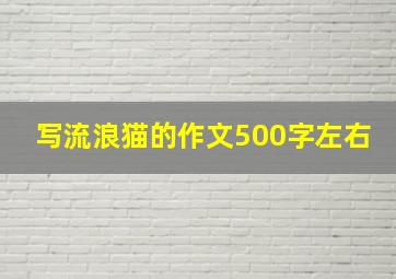 写流浪猫的作文500字左右