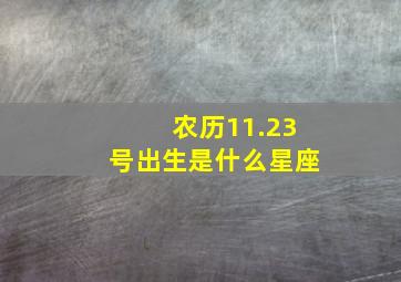 农历11.23号出生是什么星座