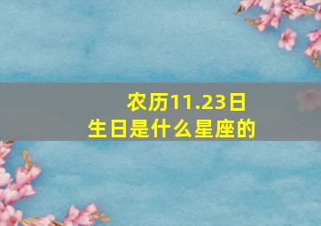 农历11.23日生日是什么星座的