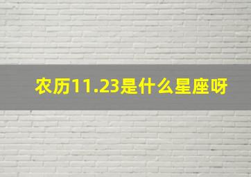 农历11.23是什么星座呀