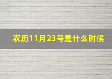 农历11月23号是什么时候