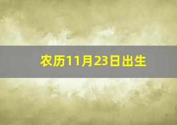 农历11月23日出生