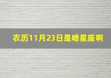 农历11月23日是啥星座啊