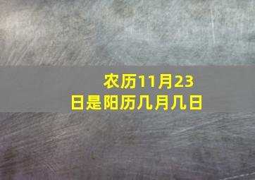 农历11月23日是阳历几月几日