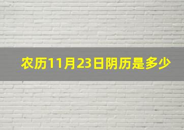 农历11月23日阴历是多少