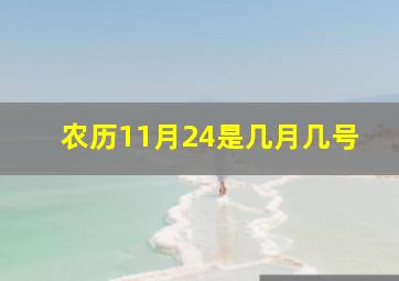 农历11月24是几月几号