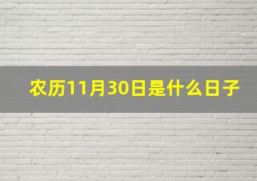 农历11月30日是什么日子