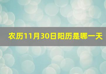 农历11月30日阳历是哪一天