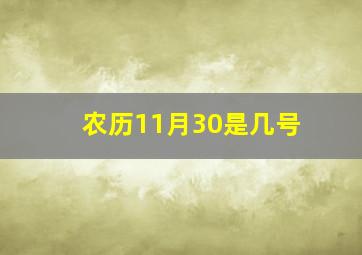 农历11月30是几号