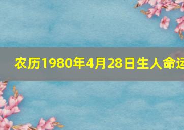 农历1980年4月28日生人命运