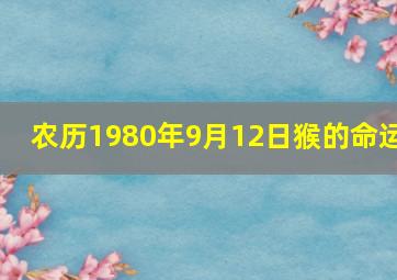 农历1980年9月12日猴的命运