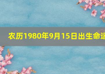 农历1980年9月15日出生命运