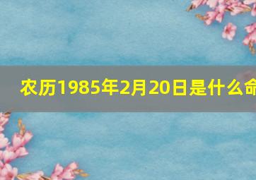 农历1985年2月20日是什么命