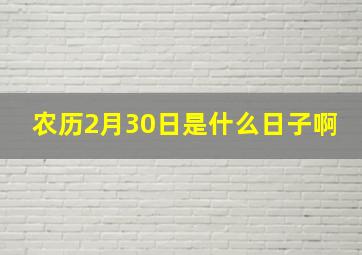 农历2月30日是什么日子啊