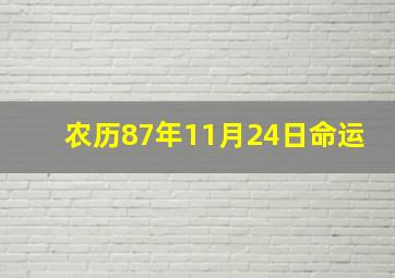 农历87年11月24日命运