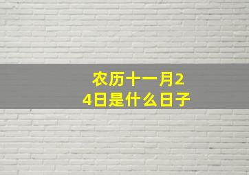 农历十一月24日是什么日子