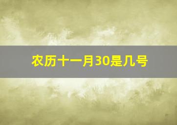 农历十一月30是几号