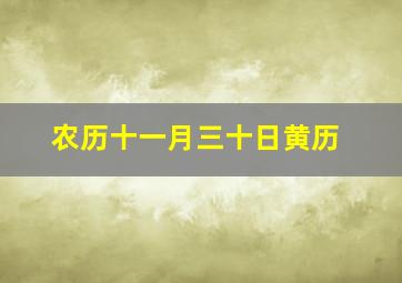 农历十一月三十日黄历