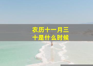 农历十一月三十是什么时候