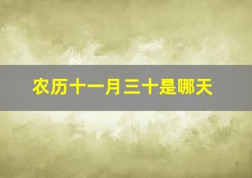 农历十一月三十是哪天