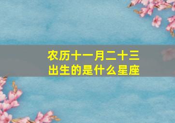 农历十一月二十三出生的是什么星座