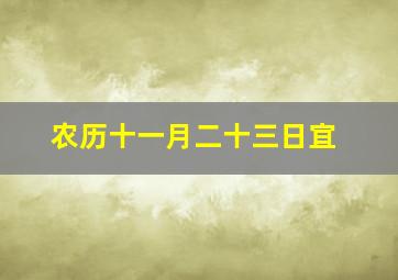 农历十一月二十三日宜