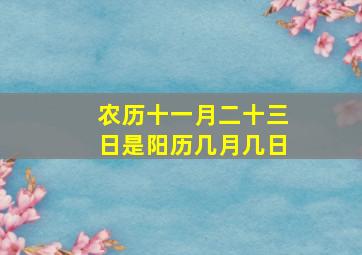 农历十一月二十三日是阳历几月几日