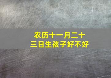 农历十一月二十三日生孩子好不好