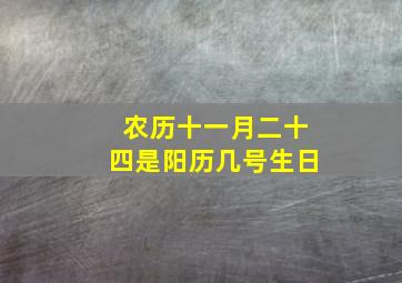 农历十一月二十四是阳历几号生日