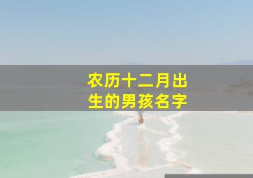 农历十二月出生的男孩名字