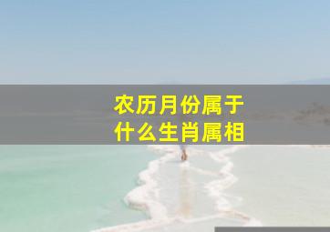 农历月份属于什么生肖属相