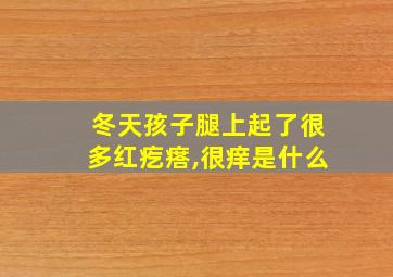 冬天孩子腿上起了很多红疙瘩,很痒是什么